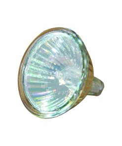 Certikin Amprod Spabrite Bulb 100W 12V (AP791081)