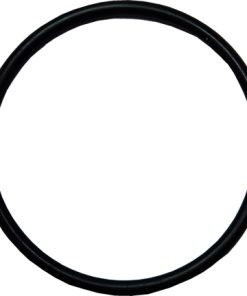 Plastica Badu Jet Smart Pump O-Ring