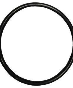 Plastica Sta-Rite Swimmey Union O-Ring