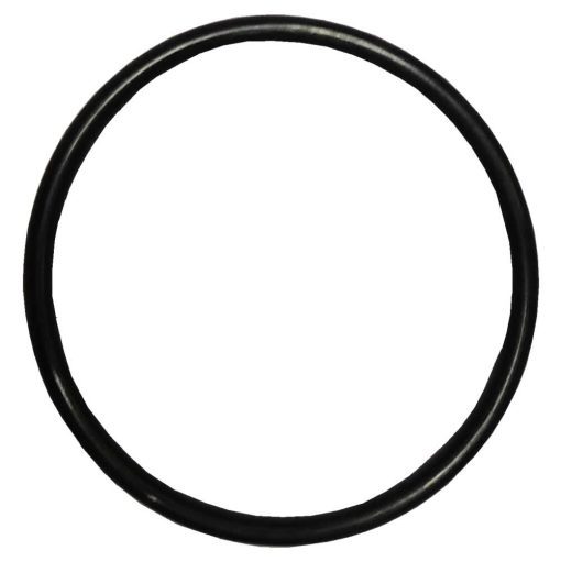 Plastica Sta-Rite Swimmey Union O-Ring