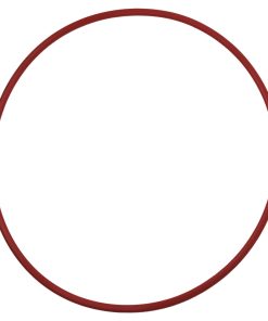 Endurance Oring for Cover Lid For Endurance Sand Filters