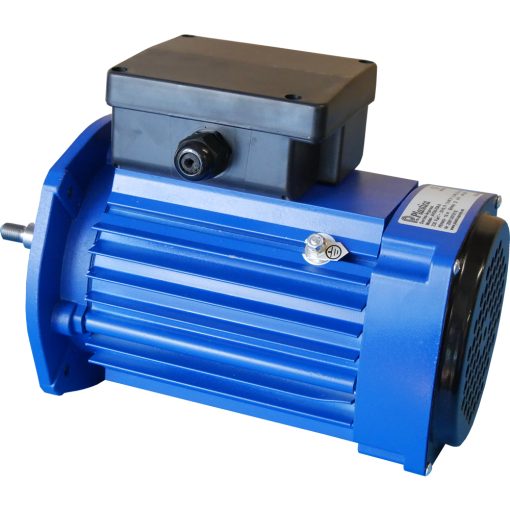 Plastica Argonaut Pump Motor for Single Phase AV150