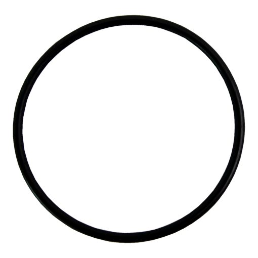 Plastica O-ring 2" Valve