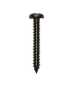 Plastica Screw No 6 x 1in pan head pozi self tapping s/s A