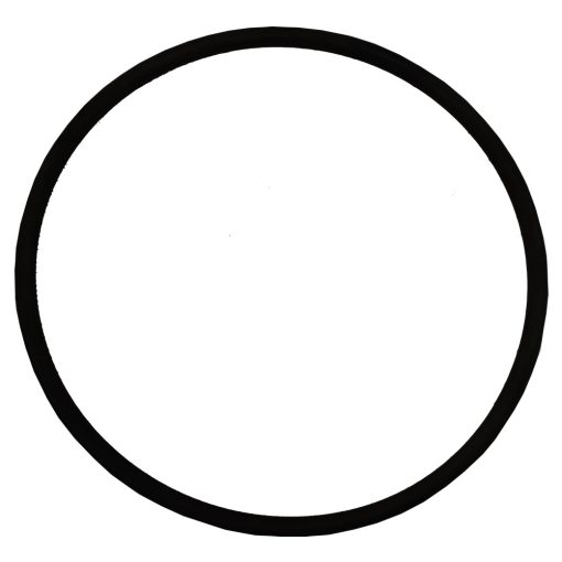 Plastica Argonaut Body O Ring (for machined seal plate)