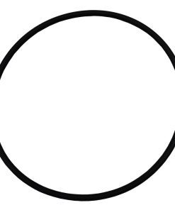 Plastica AG Pump Seal Plate O-Ring