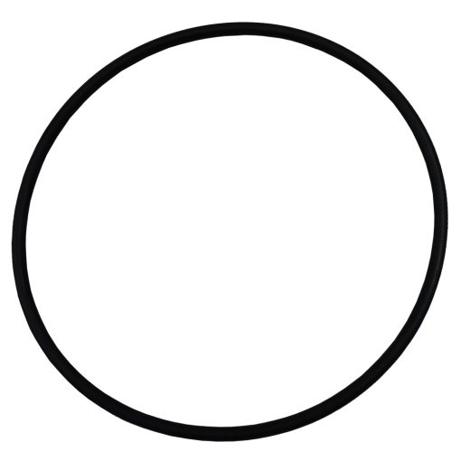 Plastica AG Pump Seal Plate O-Ring
