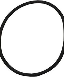 Plastica Sta-Rite Lid O-Ring 5P6R